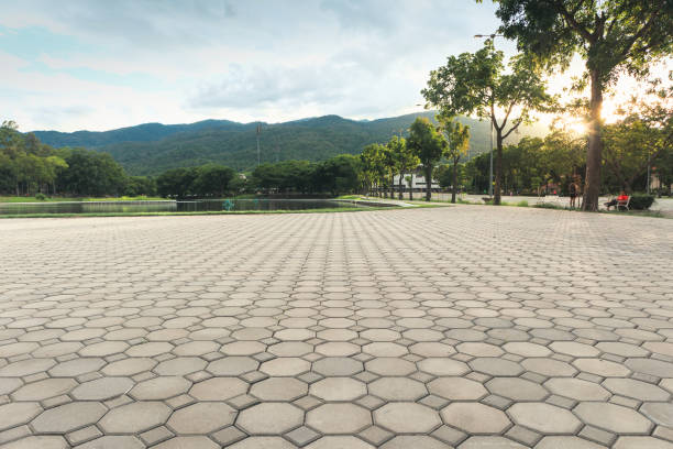 Best Interlocking Driveway Pavers  in Rural Hall, NC