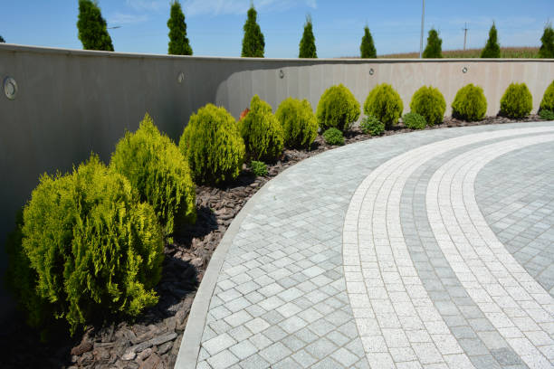 Best Interlocking Driveway Pavers  in Rural Hall, NC